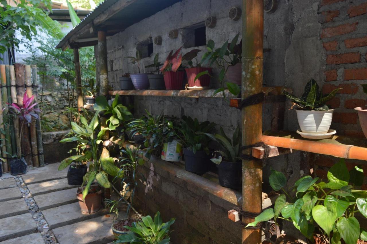 Labuan Bajo Mahoni Guesthouse Екстериор снимка